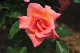 image0165