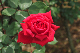 image0167