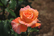 image0168