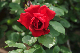 image0170