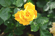 image0171