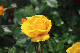 image0173