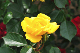 image0174