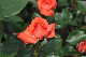 image0178