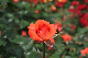 image0179