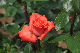 image0184