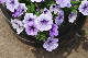 image0186
