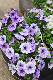 image0187