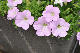 image0188