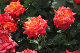 image0189
