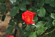 image0190