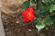 image0191
