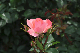 image0193