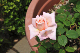 image0200
