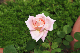 image0201
