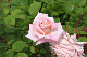 image0202