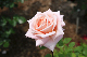 image0203