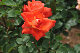 image0204