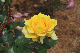 image0211
