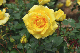 image0212