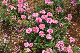 image0213