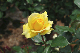 image0216