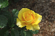 image0217