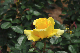 image0218