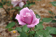image0221