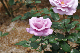 image0222