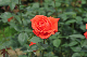 image0224