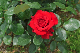 image0225