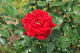 image0227