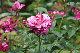 image0234