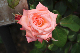 image0236