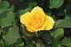 image0242