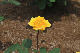image0243