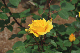 image0244