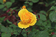 image0246