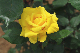 image0247