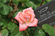 image0265