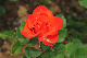 image0267