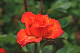 image0268