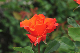image0269