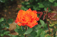 image0270
