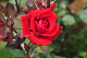 image0272