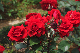 image0273
