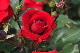 image0274