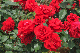 image0279