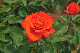 image0280